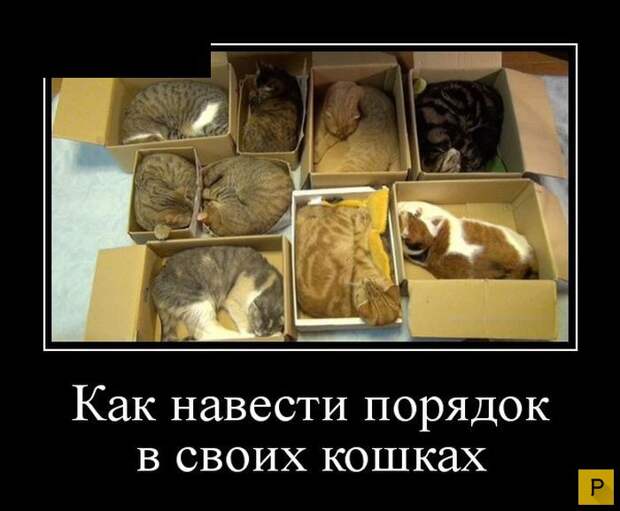 Зри в корень  (32 фото)