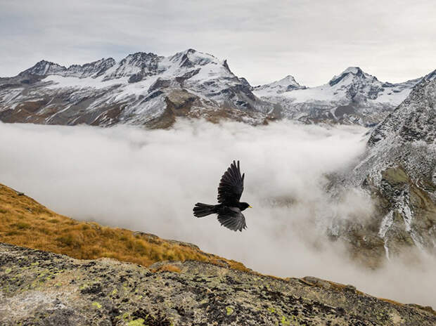 Лучшие фотографии марта от журнала National Geographic
