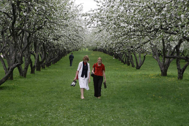 В Москве до 5 апреля установится аномальная жара