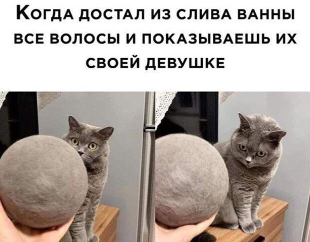 Прикольные и смешные картинки
