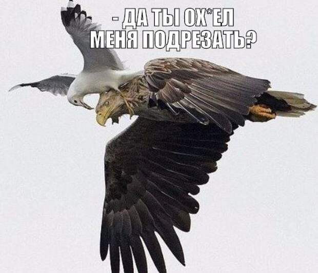 Разнообразная подборка =) Улыбок! Разнообразная подборка =) Улыбок!