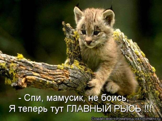 Мысли вслух :)