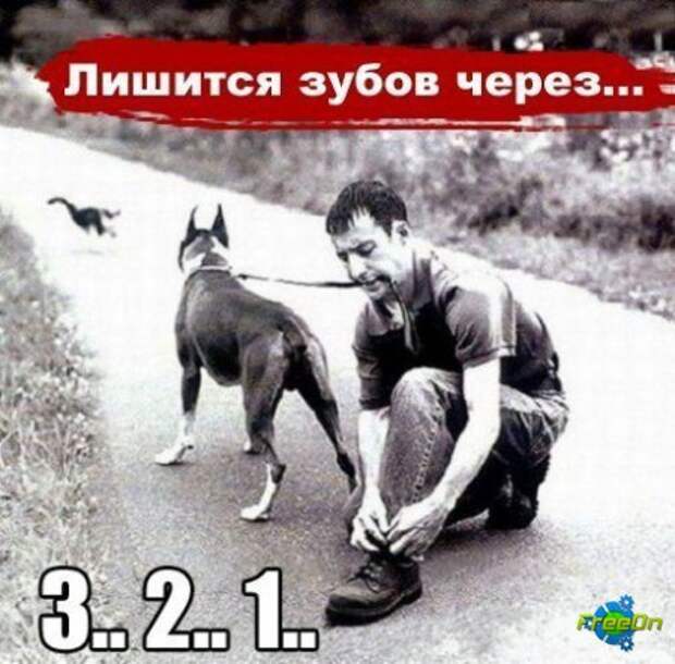 Фразы в картинках картинки, фразы