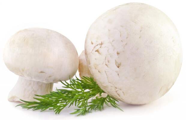 какие продукты заменяют мясо