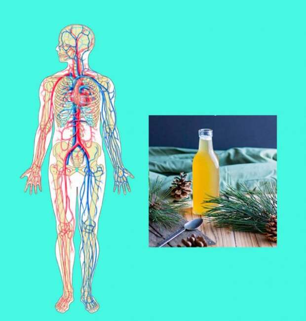 Как очистить сосуды и восстановить капилляры