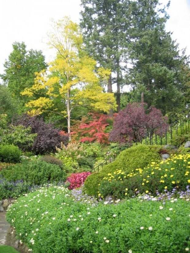 Место чарующее своей красотой и живой природой - The Butchart Gardens. 