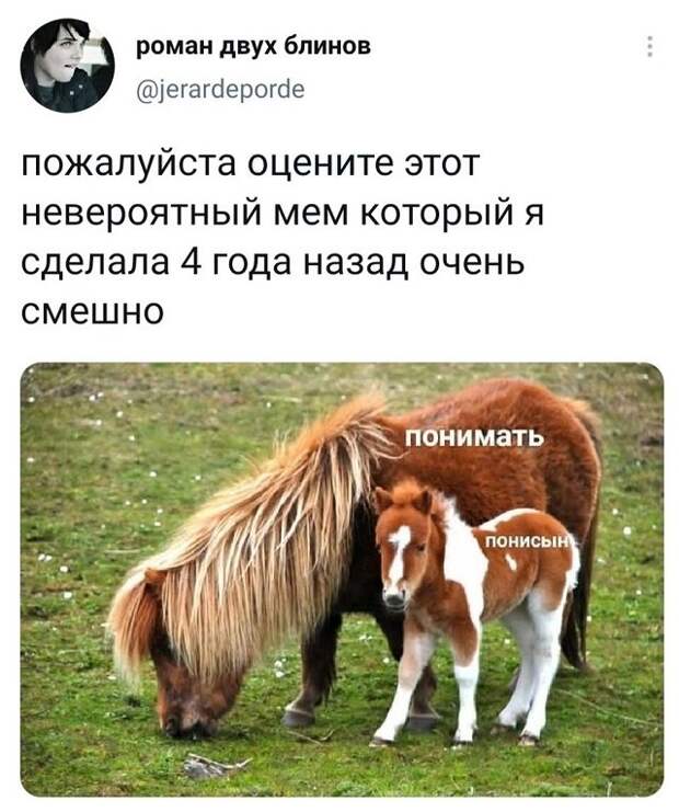 твит про мем