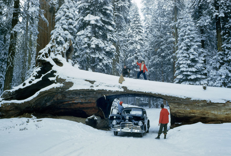 25 неопубликованных фотографий из архивов National Geographic