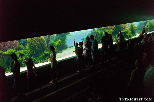 8. Лиссабонский океанариум в Португалии - самый большой аквариум в Европе аквариумы, животные, мир, рыбы