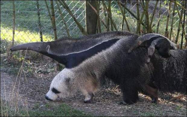 i_perfectly_timed_photos_028_4feebf4169f26