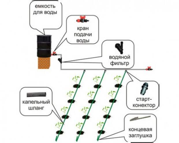 Схема устройства капельного полива капельный полив своими руками