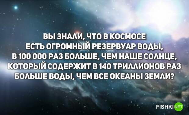 3. Интересно, существуют ли космические акулы? очевидное-невероятное, удивительные факты