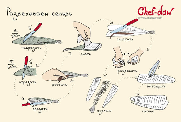 18 полезных советов и идей, которые пригодятся на кухне идея, кухня