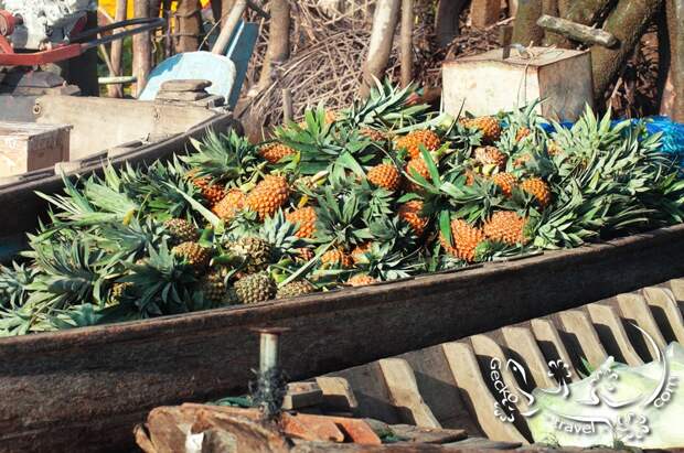 http://gecko-travel.com/wp-content/gallery/mekong-delta/vietnam-can-tho-floating-market2.jpg