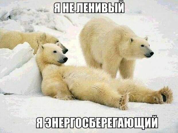 Прикольные картинки. Вечерний выпуск (54 фото)