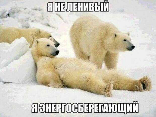 Прикольные картинки для всех (43 шт)