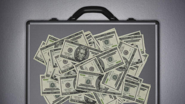 Во Внуково задержали женщину, пытавшуюся незаконно ввезти из Грузии $105 тысяч