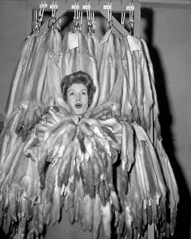 13. Королева Норки, 1960 конкурс, королева, красота