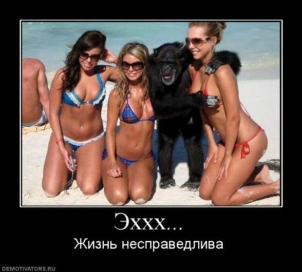 Ржачные демотиваторы, прикольные картинки.