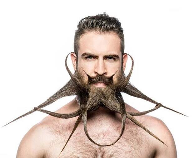 Mr. Incredibeard, скульптуры из бороды, Исайя Вэбб, Isaiah Webb