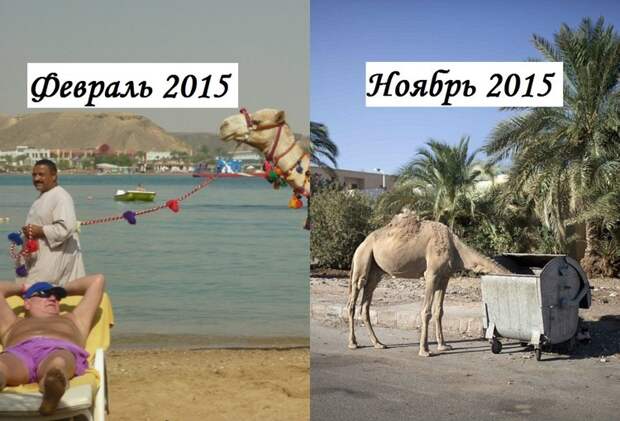 Город-призрак. Как выглядит Шарм-эш-Шейх без российских туристов