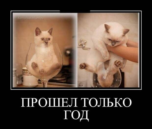 Лучшие демотиваторы рабочей недели Лучшие демотиваторы рабочей недели