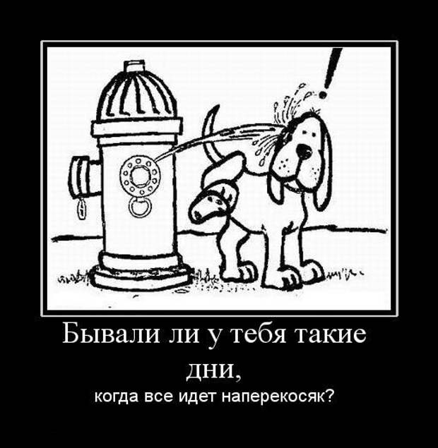 Демотиваторы (107 фото)