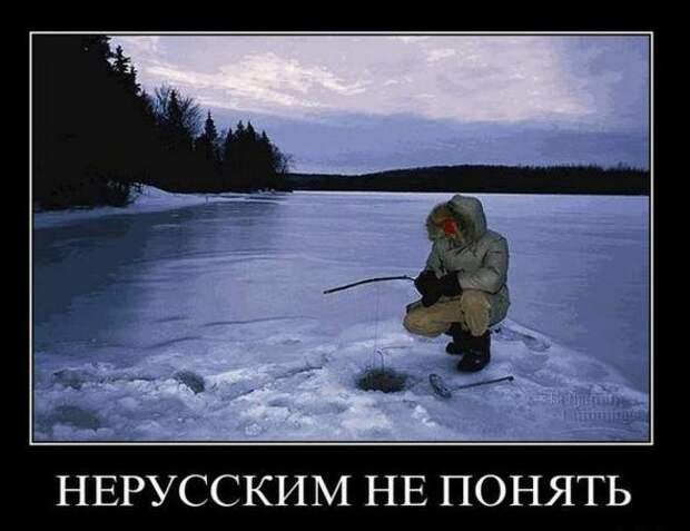 Демотиваторы 20.02.11