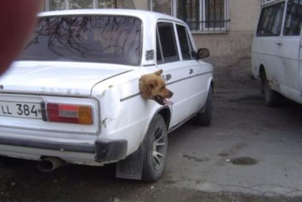 самые нелепые фотографии