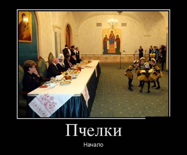 Подборка  демотиваторов демотиваторы, юмор