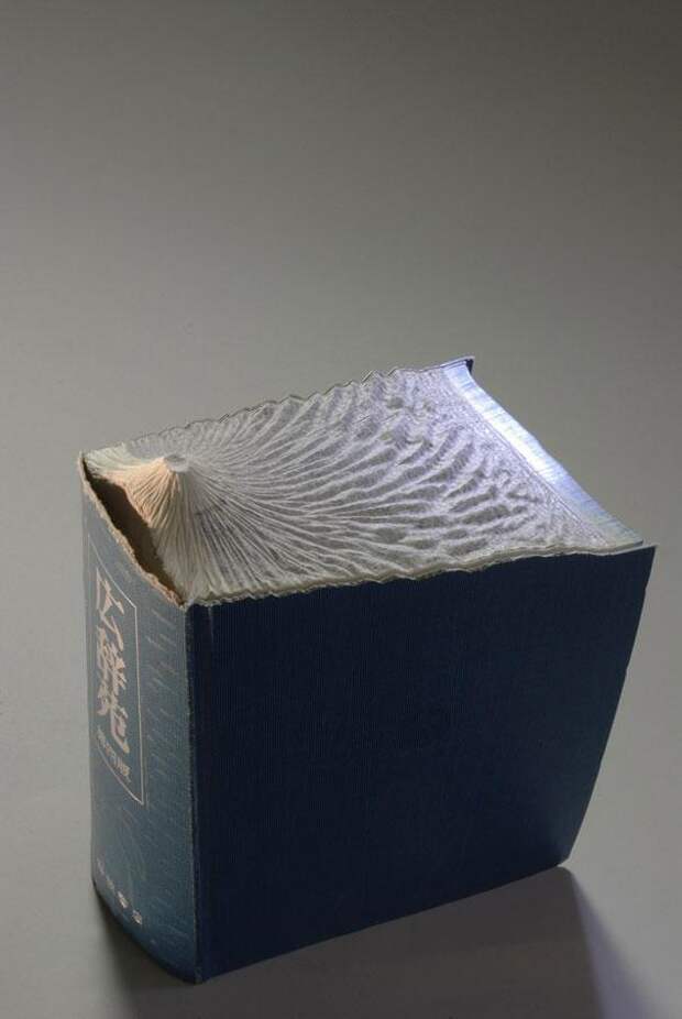 Резьба по книгам (6)