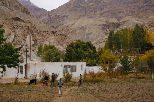 Как живут таджики у себя на родине жизнь, родина, таджики