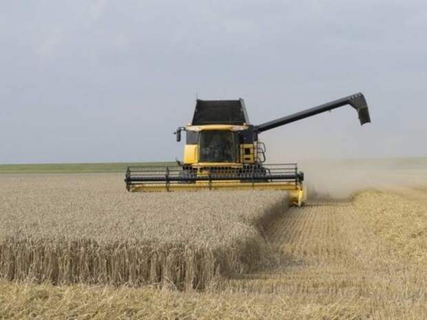 Власти Украины ожидают, что урожай страны в 2022 году будет вдвое меньше прошлогоднего