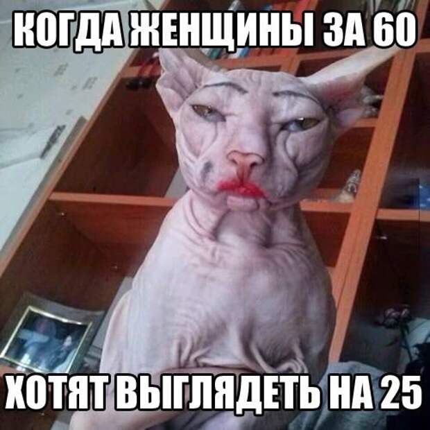 Просто смешные картинки с подписями Просто смешные картинки с подписями весело, с подписями, смешные картинки, юмор
