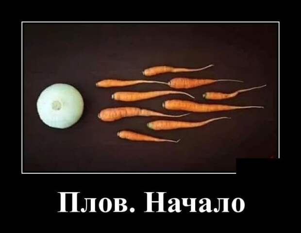 Демотиваторы (30 фото)