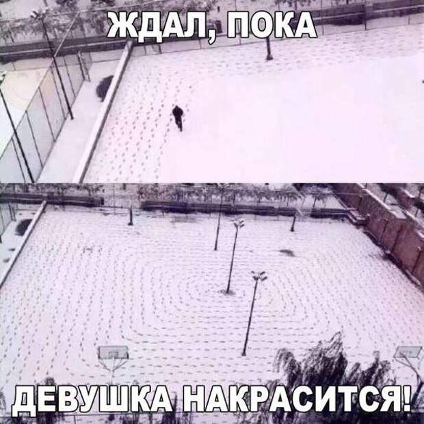 Картинки со смешными надписями Картинки со смешными надписями