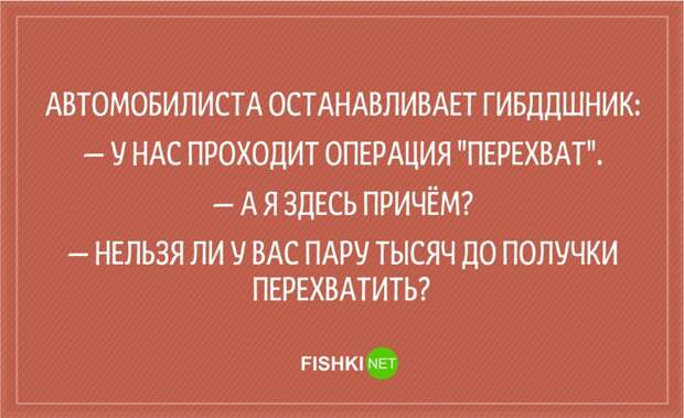 20 анекдотов о сотрудниках ГИБДД Анекдоты, гаи, гибдд