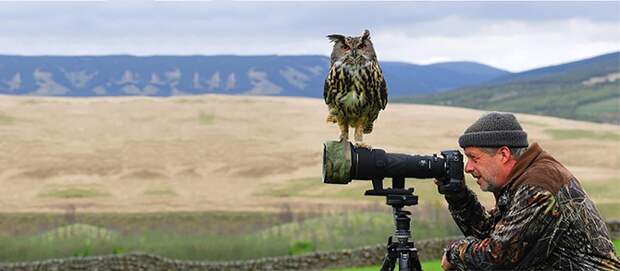 Почему фотоохота — самое лучшее занятие в мире?