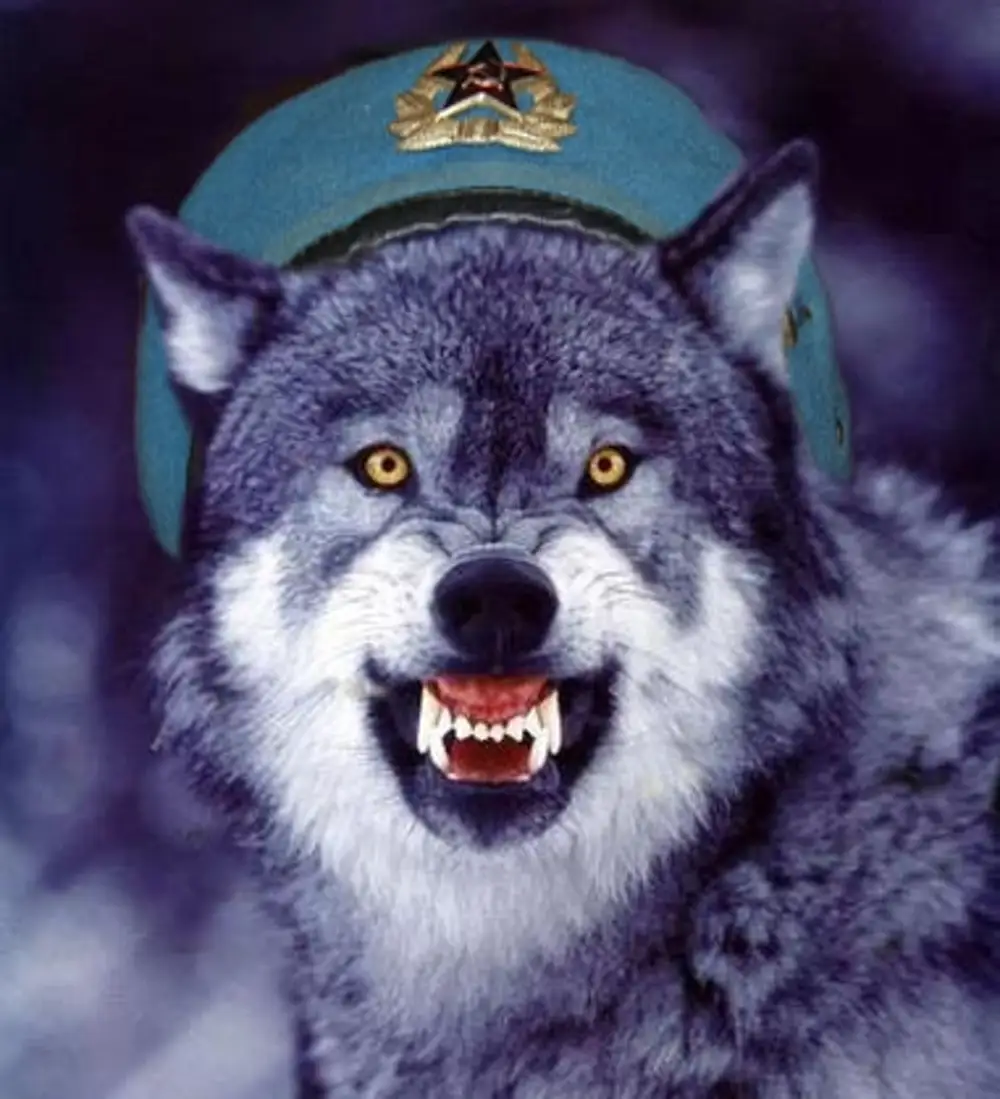 Картинки Волк Ауе