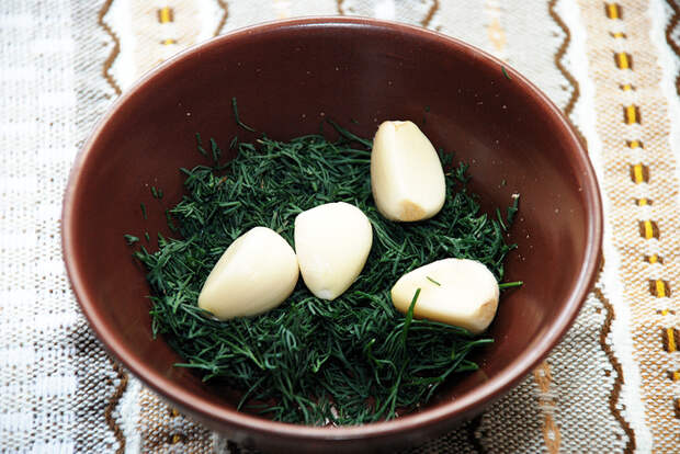 pepper-and-garlic_03 (700x468, 510Kb)