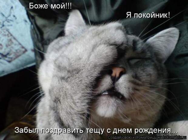 Мысли вслух :)