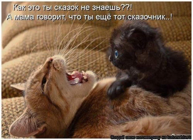 image (500x365, 169Kb)
