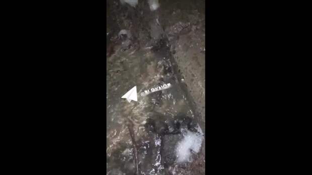 Video: com.bongasoft.addremovewatermark_VID_20250312_222955_616.mp4