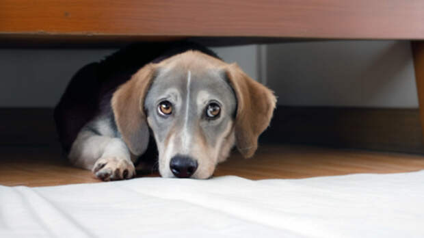 Когда любишь