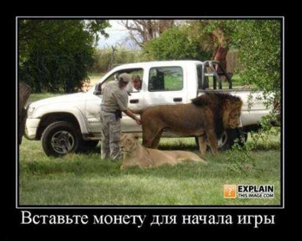 Демотиваторы новые, смешные много прикольных фото.