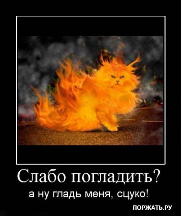 Прикольные демотиваторы (часть 2)