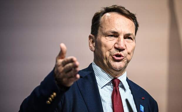 Сикорский: оказавшиеся в воздушном пространстве Польши БПЛА были без взрывчаток