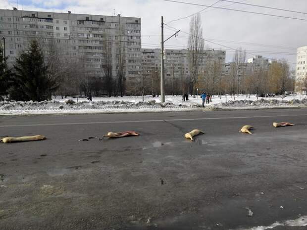 Ничего необычного мясо, свинина, харьков, юмор