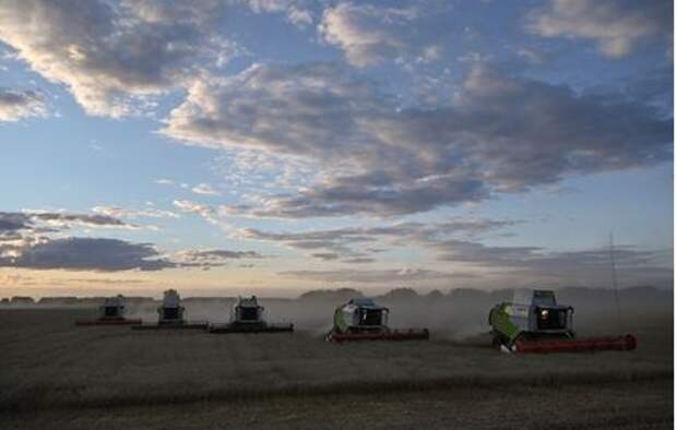 Combines harvest wheat in a field of Triticum farm in Omsk Region, Russia September 16, 2020. Picture taken September 16, 2020. REUTERS/Alexey Malgavko