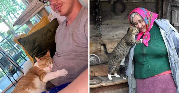 13 фото котиков, которые не могут прожить ни дня без обнимашек